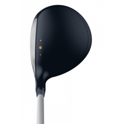 Bois Ping GLE 3 Lady | Achat sur CarreGolf.com