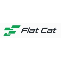 flat cat